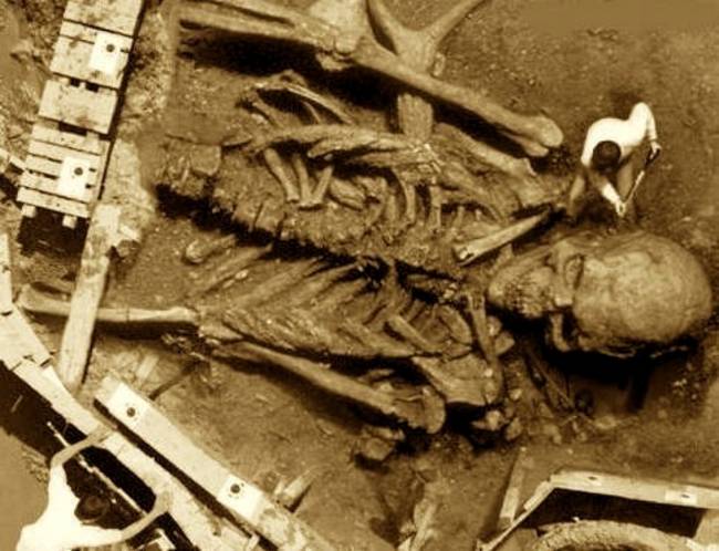 Skeleton
