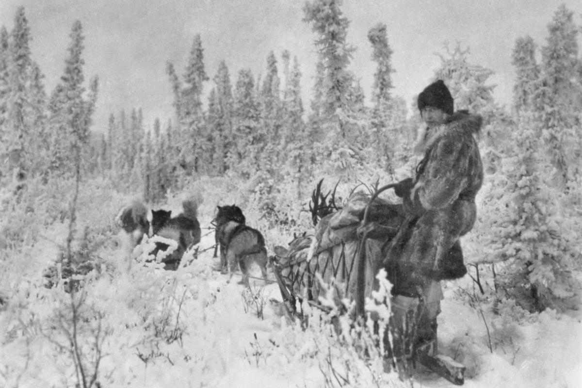 After Reed, Mardy spent her honeymoon traveling over 500 miles around the upper Koyukuk region by boat and dogsled conducting caribou research.