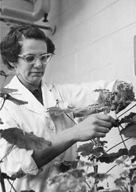 Helen Stafford