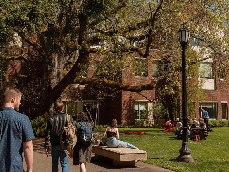A number of students sit, walk, study, and talk outside of Paradox Lost, near the ETC building.